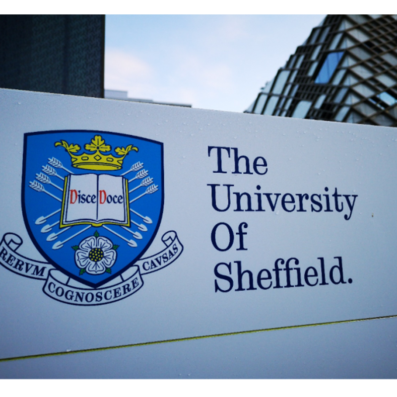Sheffield-eko Unibertsitatea Erresuma Batuko hidrogeno berdearen ekoizle handiena izateko prest dago